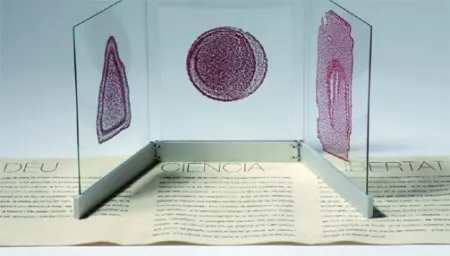 挿絵入り本 Fontcuberta - Deu, ciència i llibertat