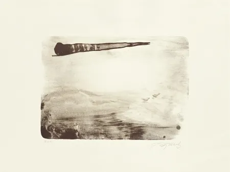 リトグラフ Fontela - Palm