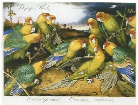 多数の Ford - Dying words