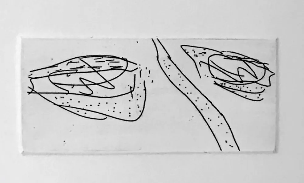 アクチアント Francis - Self Portrait