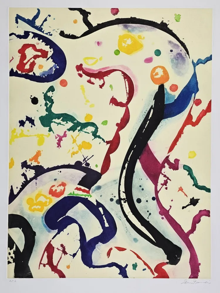 アクチアント Francis - SFE-073