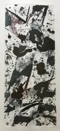 アクチアント Francis - Untitled (SFE-17)