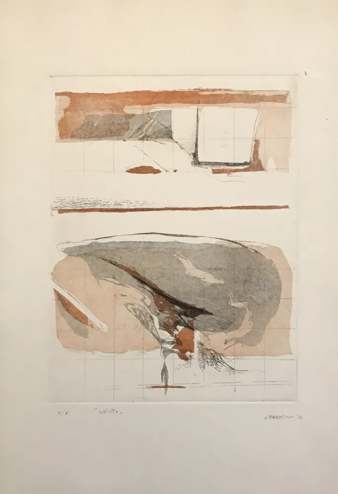 エッチングと　アクチアント Frattini - Dall'alto