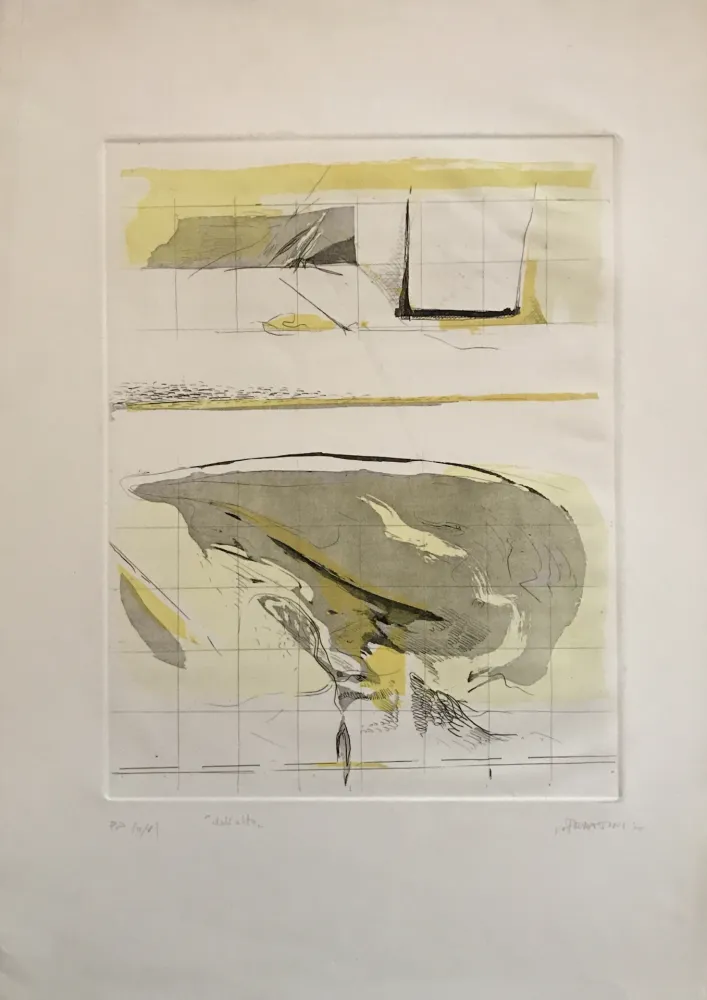 エッチングと　アクチアント Frattini - Dall'alto