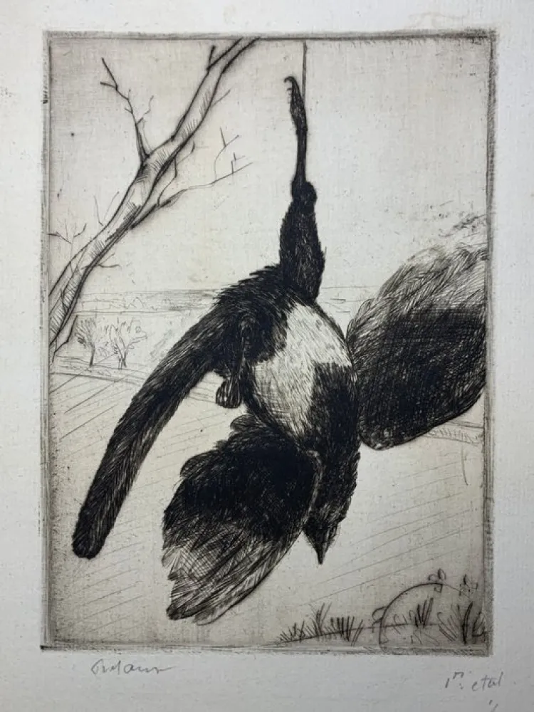 エッチング Frélaut - La pie morte