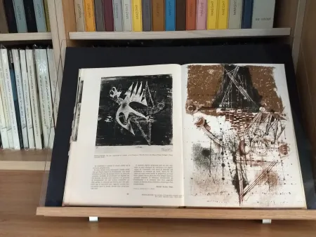 挿絵入り本 Friedlaender - No 40