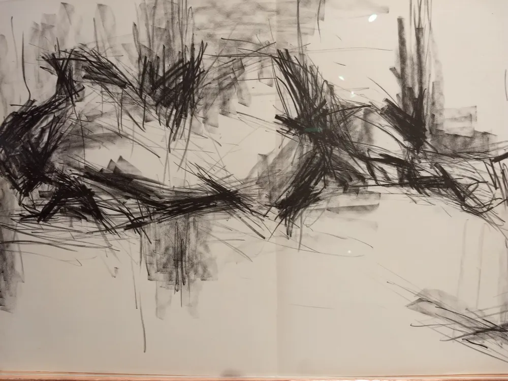 挿絵入り本 Fromanger - DLM 150