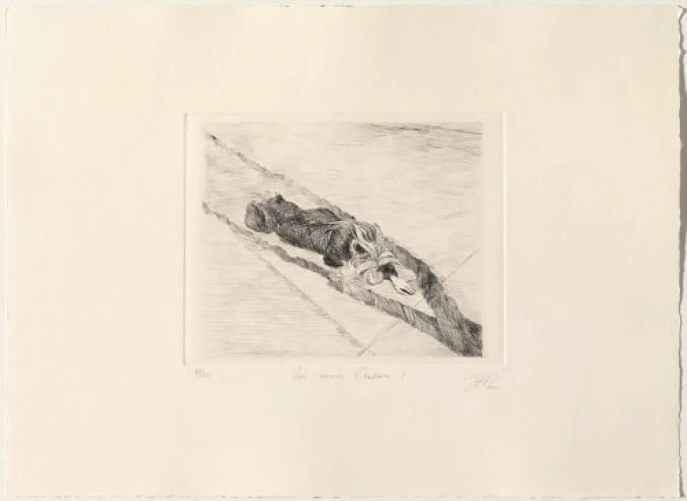 ポイントーセッシュ Gamarra - Los nuevos Oradores I