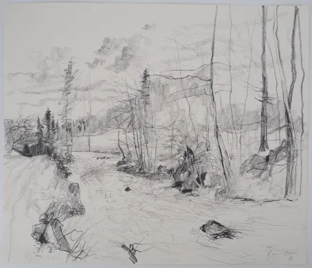 技術的なありません Gantner - Torrent dans les Vosges