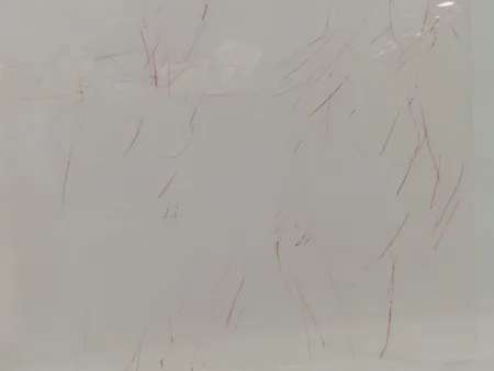 リトグラフ Garache - 2 personates v