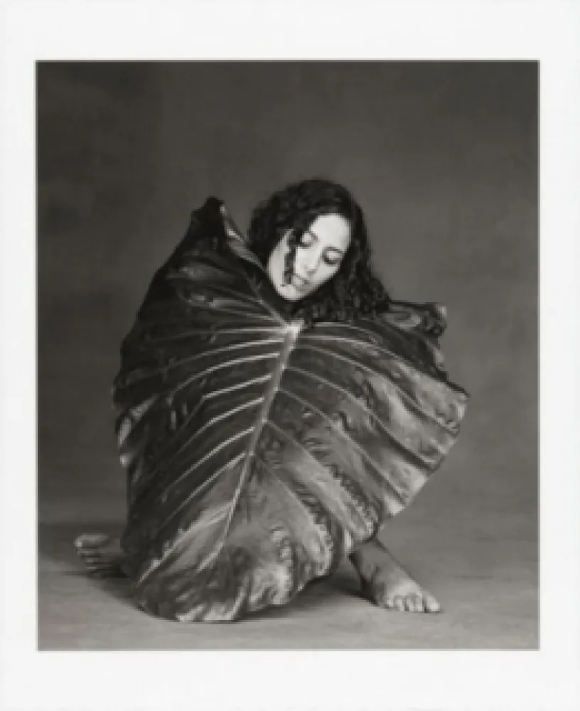 写真 Garduño - Corazón