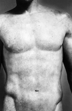 多数の Gibson - Torso (from Chiaroscuro)