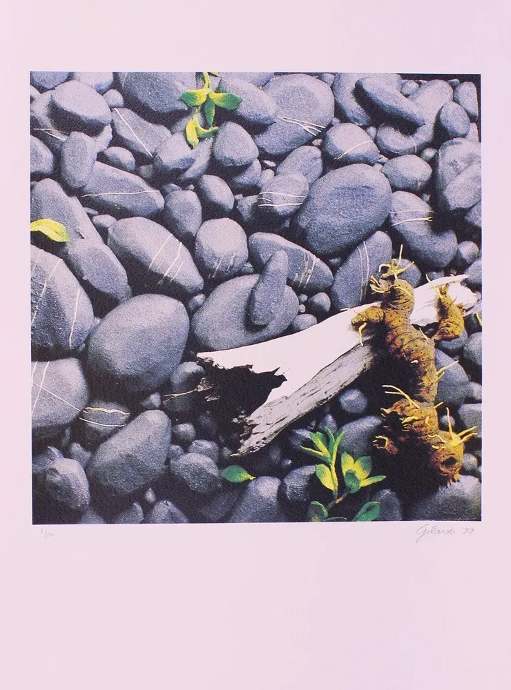 リトグラフ Gilardi - CARTELLA 11, EDIZIONE FUMAGALLI