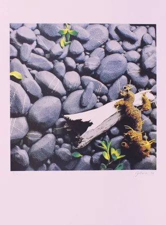 リトグラフ Gilardi - CARTELLA 11, EDIZIONE FUMAGALLI