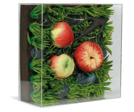 多数の Gilardi - Mele cadute