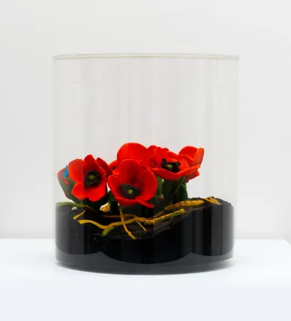 多数の Gilardi - Papaveri