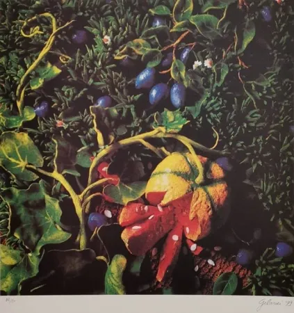 シルクスクリーン Gilardi - Prugne con zucca