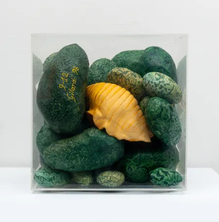 多数の Gilardi - Sassi e conchiglia