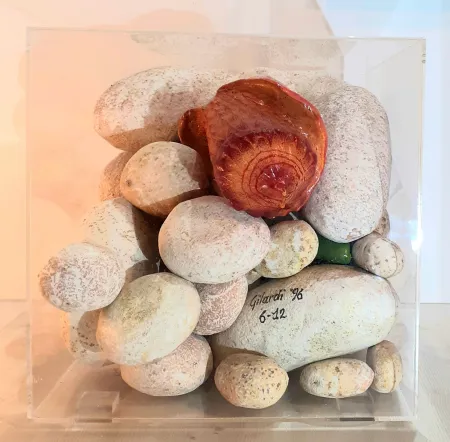 多数の Gilardi - Sassi e conchiglia