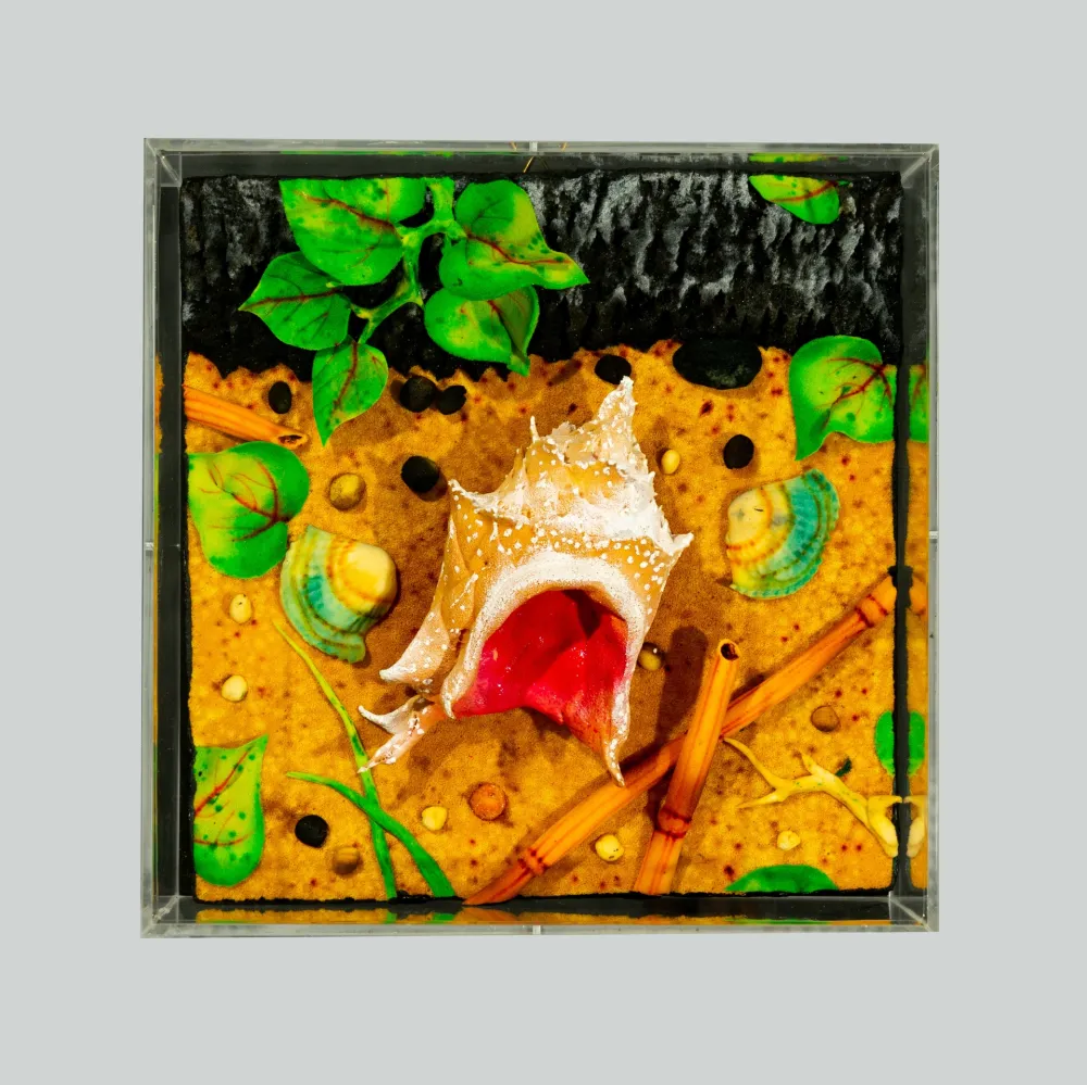 技術的なありません Gilardi - Spiaggia vulcanica