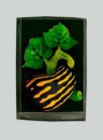 多数の Gilardi - Zucchetta