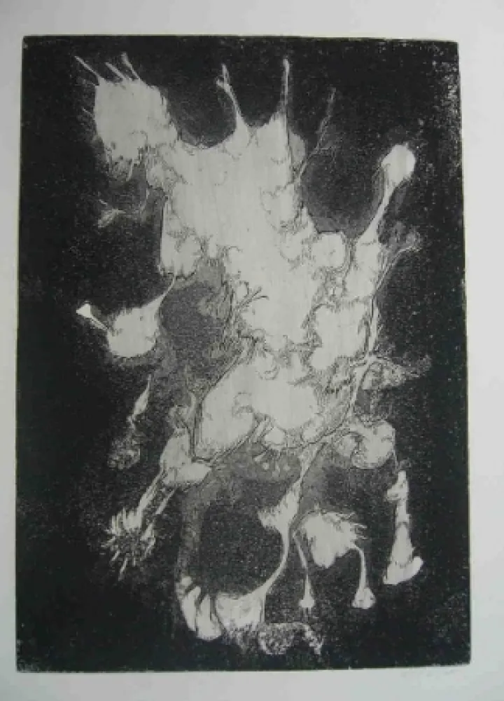 エッチング Gillet - Nymphe des rats