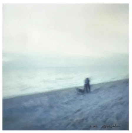 多数の Goldin - Memory Lost Sirens