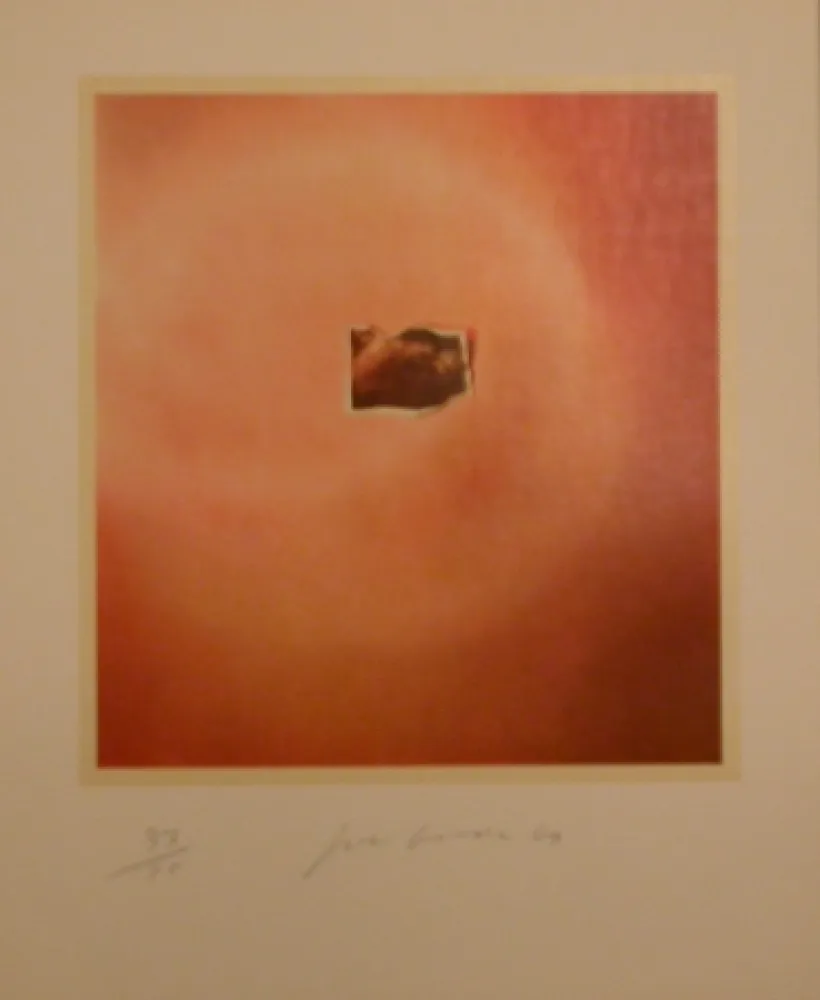 リトグラフ Goode - Six Lithographs (creased photo on orange background)