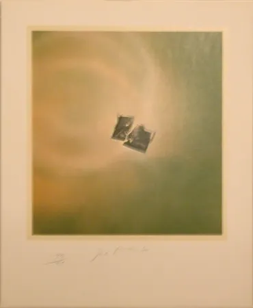 リトグラフ Goode - Six Lithographs (torn photo on green background)