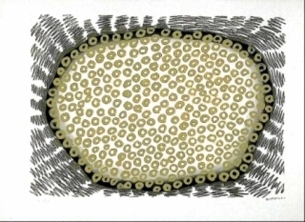 リトグラフ Gordillo - Sans titre