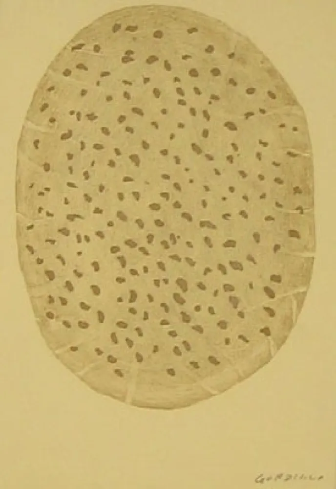 エッチング Gordillo - S/T