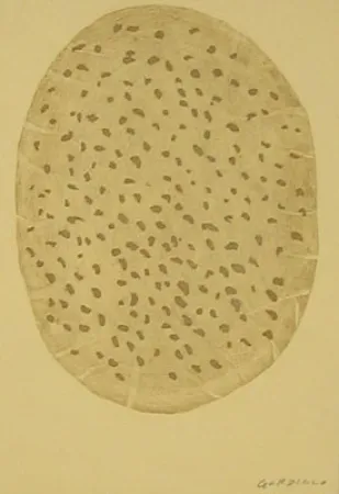 エッチング Gordillo - S/T