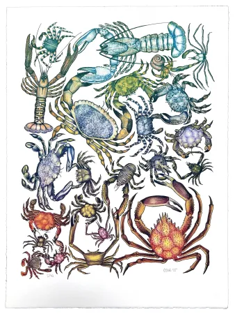 リトグラフ Gosset - Prise de Pince 