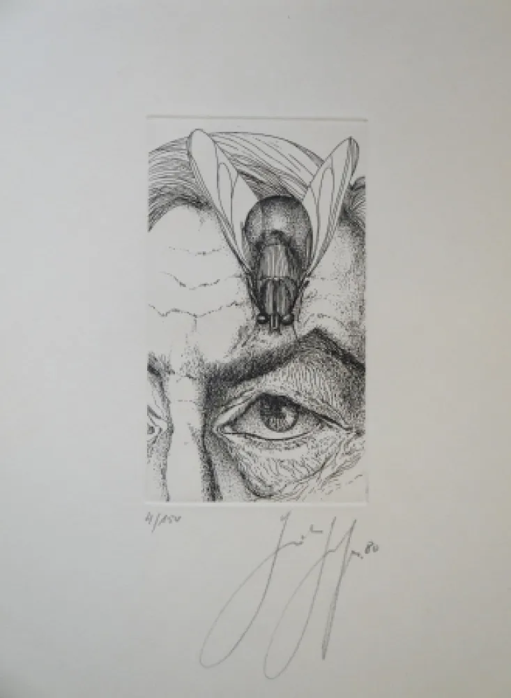 彫版 Grass - Selbstporträt mit Fliege