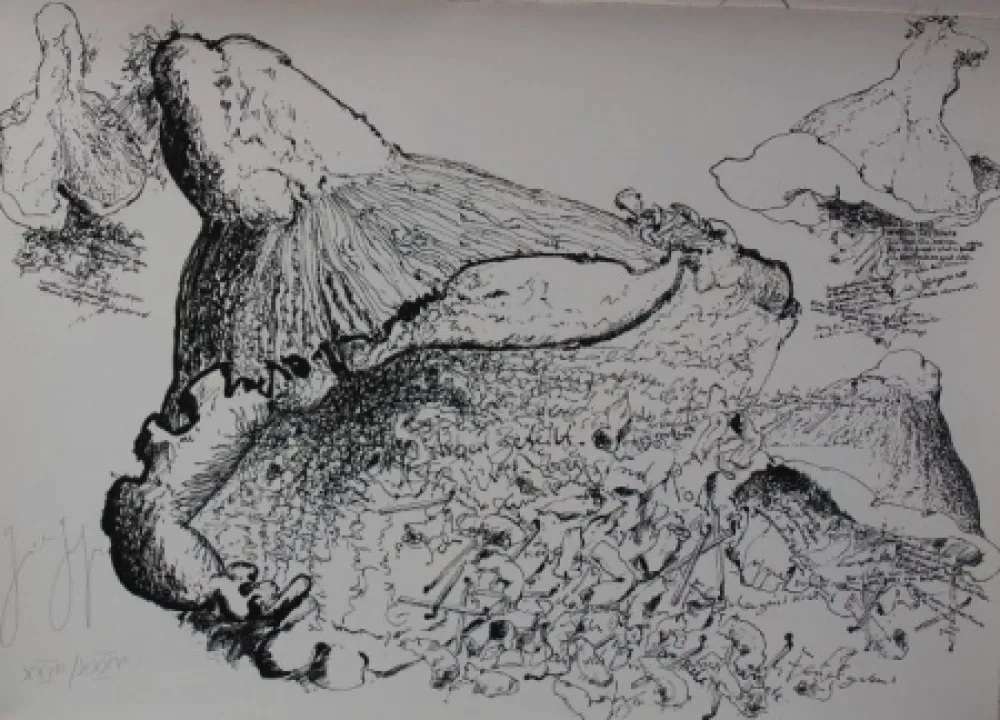 リトグラフ Grass - Senza titolo