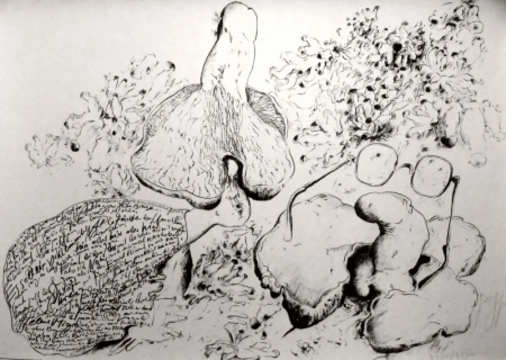 リトグラフ Grass - Senza titolo