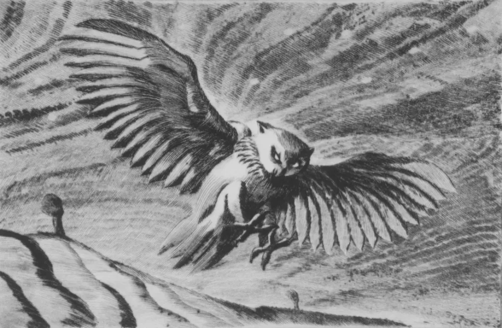 ポイントーセッシュ Grasselli - Verso la notte