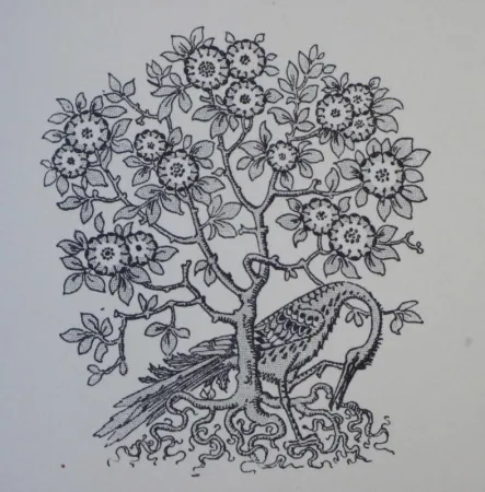 木版 Grasset - Ornements typographiques