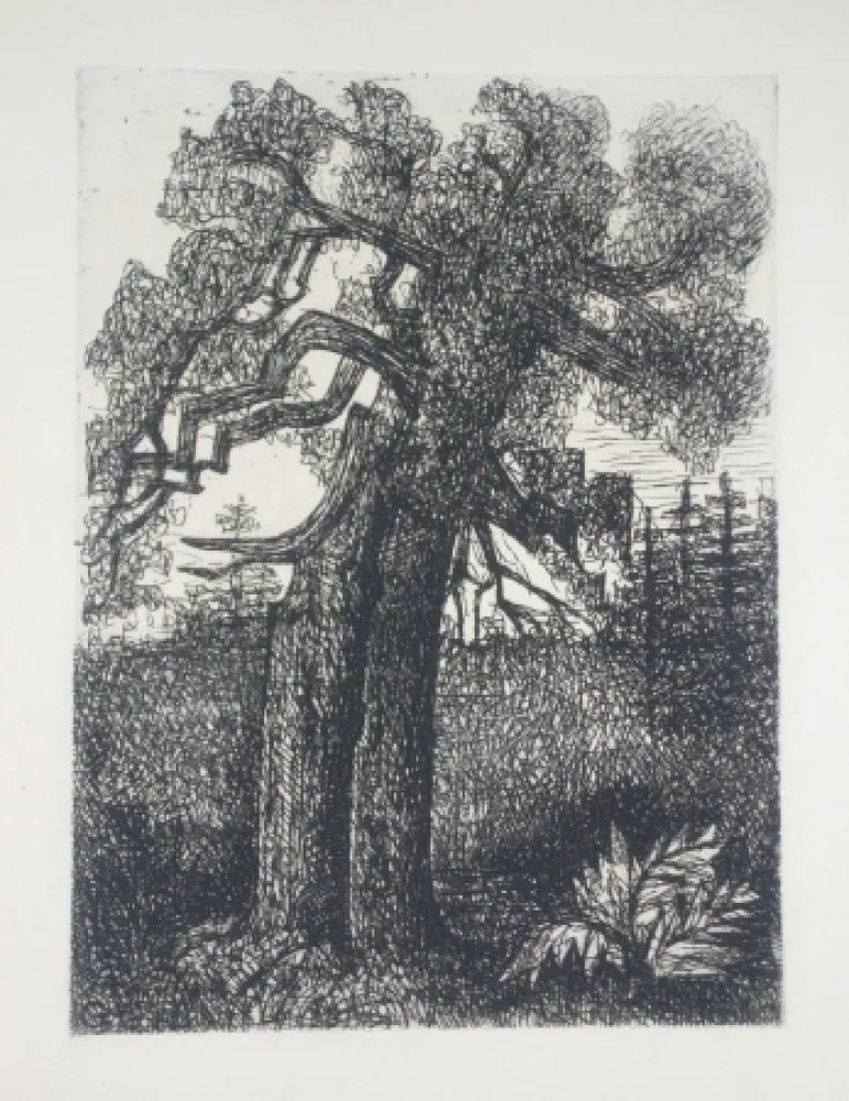 ポイントーセッシュ Gromaire - Le chêne