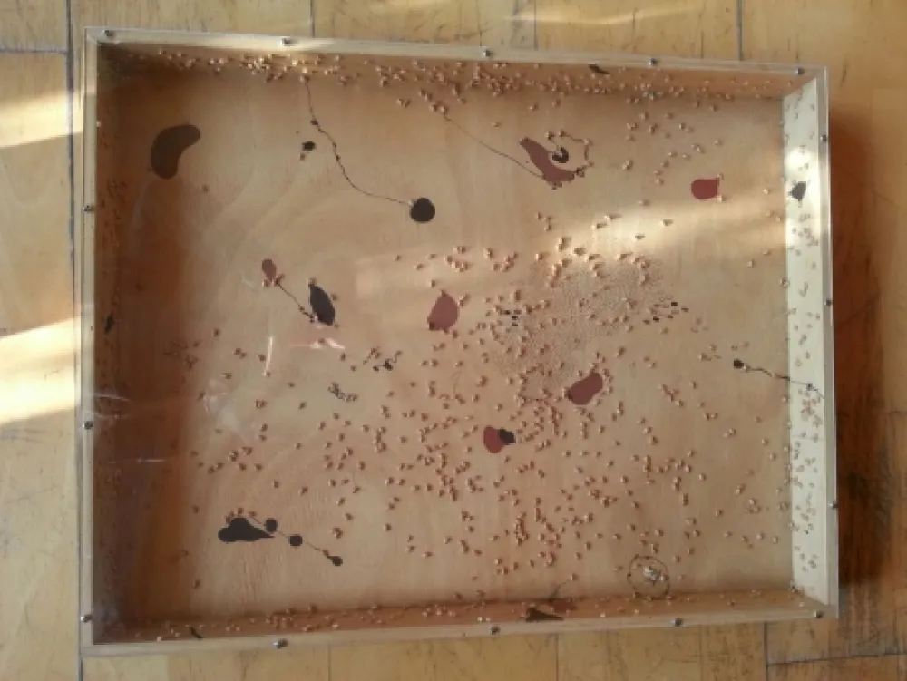 技術的なありません Guinovart - Blat i coses 8