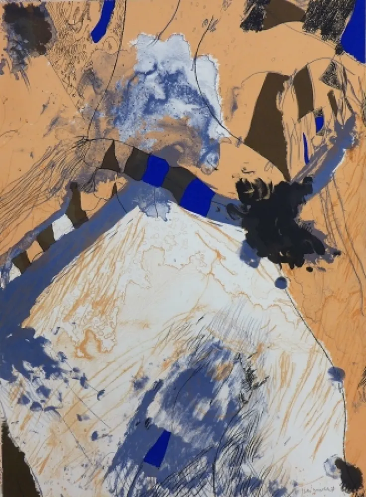 リトグラフ Guinovart - Com muntanya