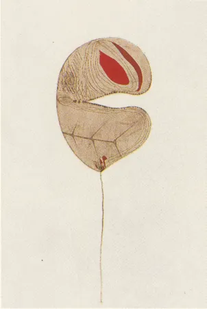 多数の Guinovart - Fulles-6