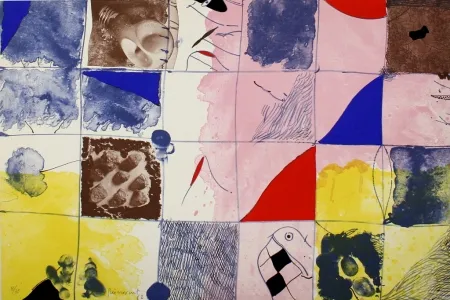 リトグラフ Guinovart - Joc a terra