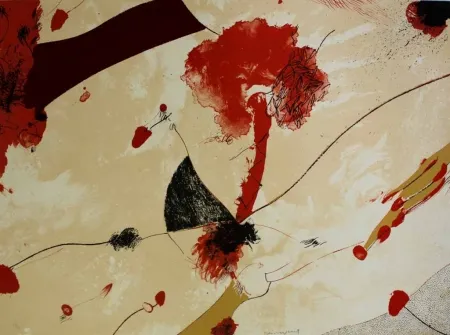 リトグラフ Guinovart - Natu