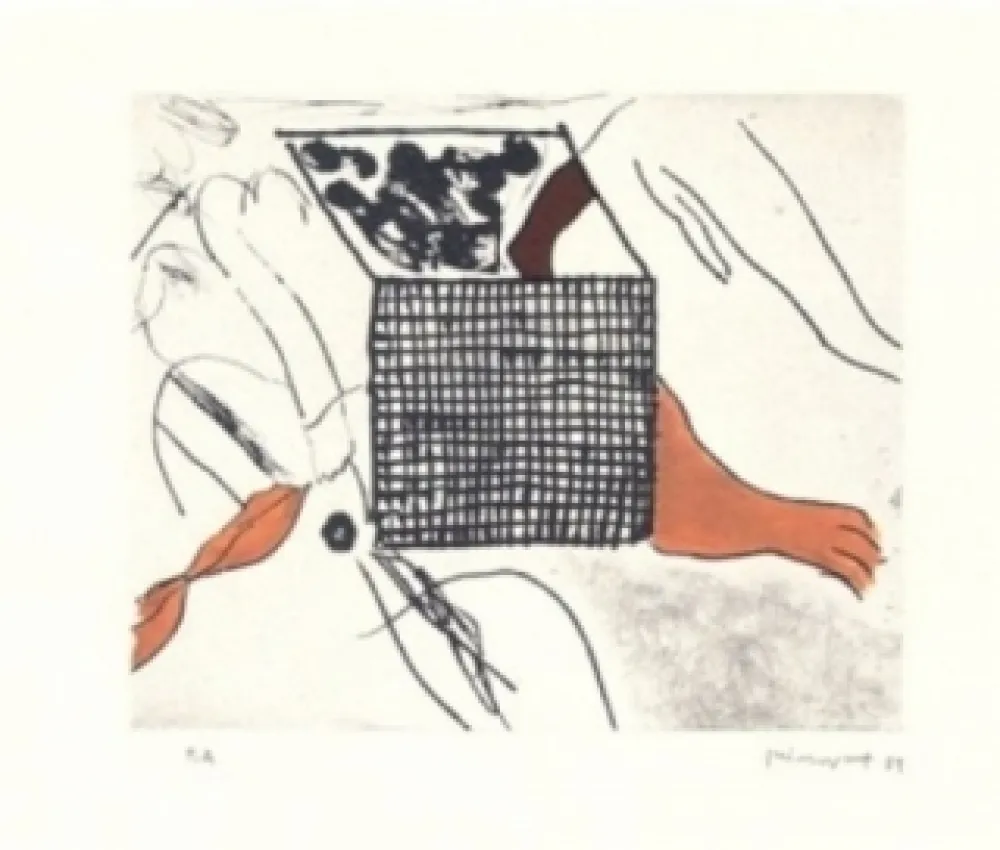 彫版 Guinovart - Sortides