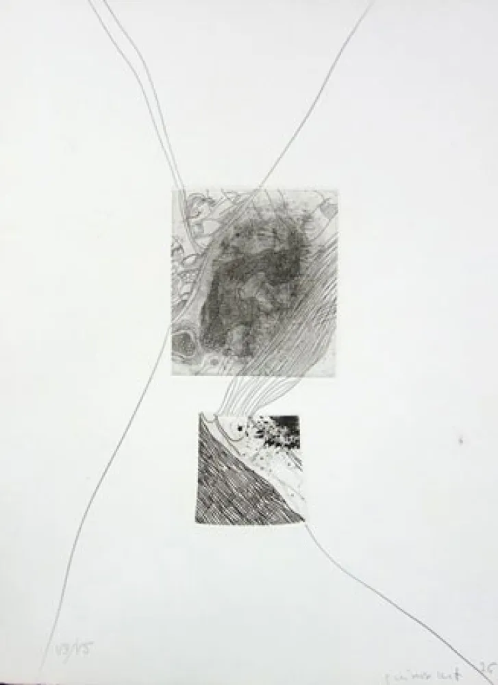 エッチング Guinovart - S/T