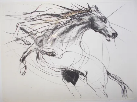 彫版 Guiny - Etalon III