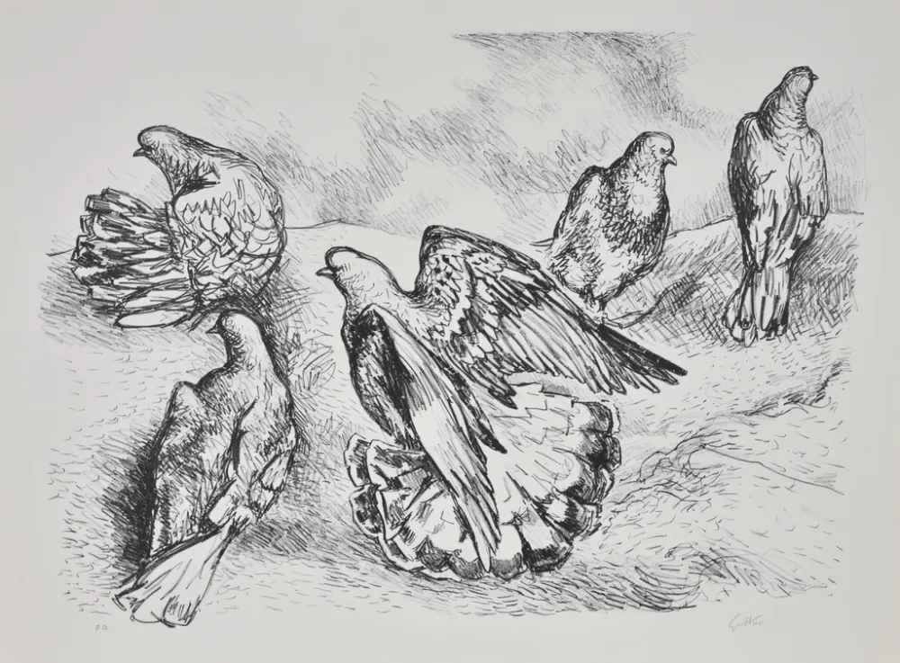 リトグラフ Guttuso - Colombe