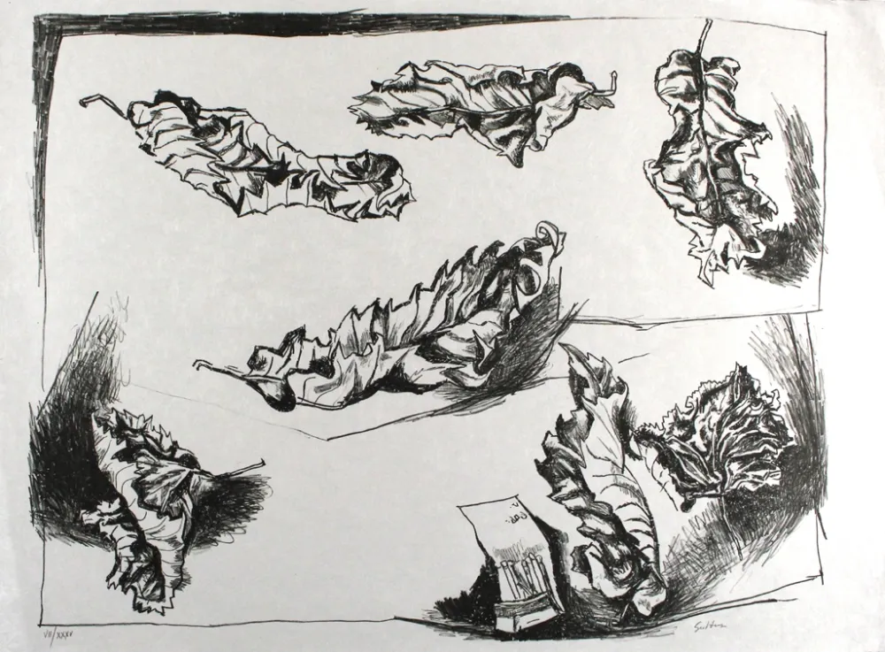 リトグラフ Guttuso - Foglie