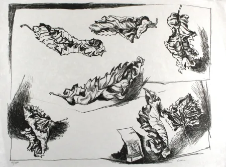 リトグラフ Guttuso - Foglie